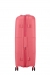 American Tourister Starvibe 77cm - Iso Laajennettava Sun Kissed Coral