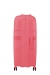 American Tourister Starvibe 77cm - Iso Laajennettava Sun Kissed Coral