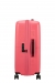 American Tourister Dashpop 67 cm - Keskikokoinen Laajennettava Sugar Pink